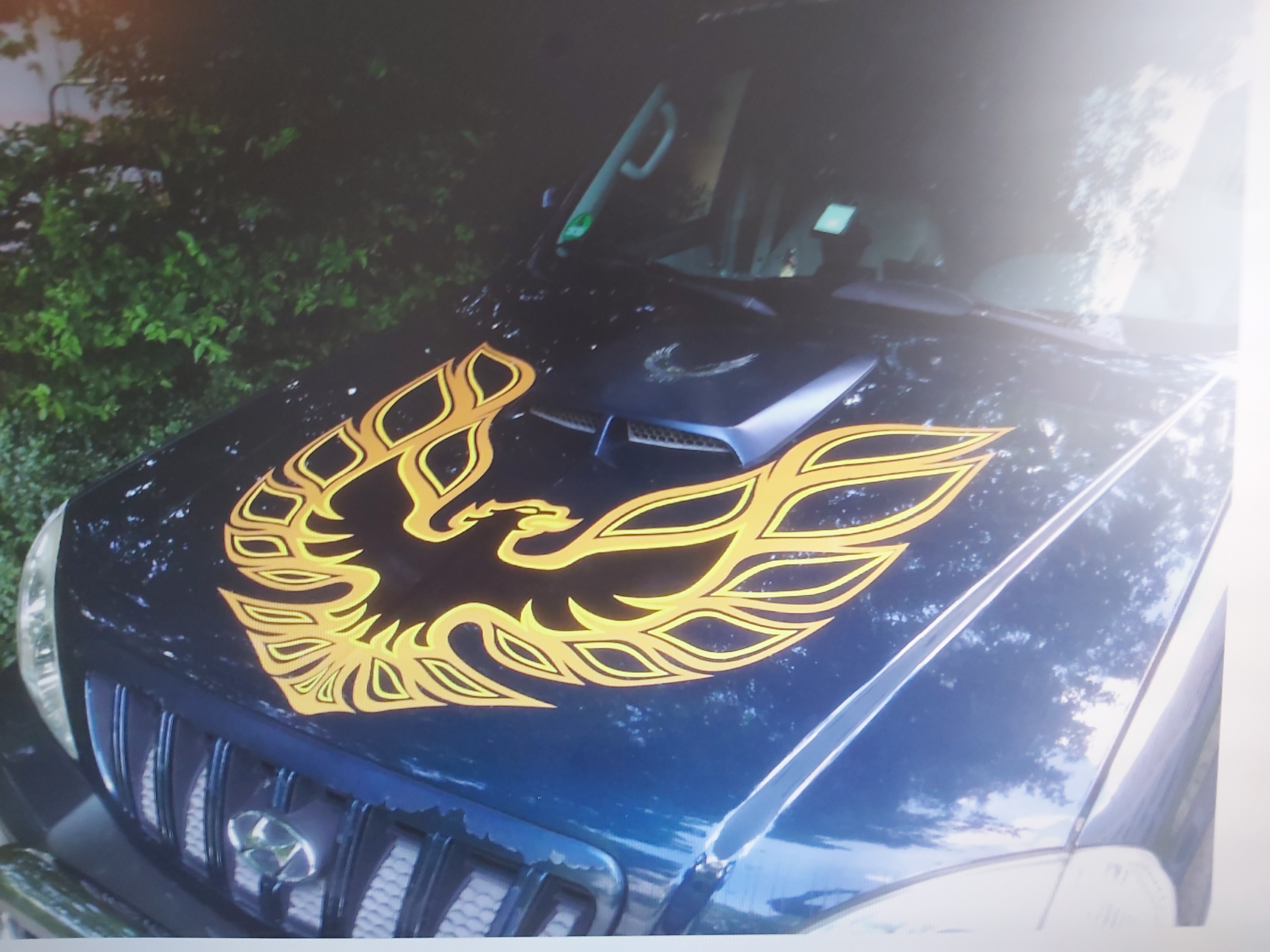 Pontiac Firebird Motorhaubenaufkleber
